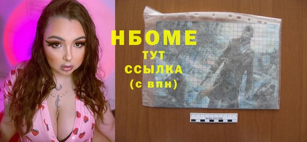 стаф Арсеньев