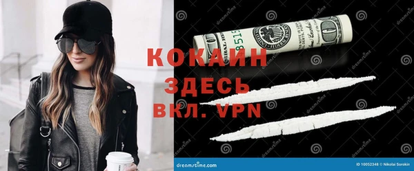 шишки Армянск