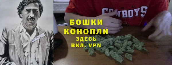 стаф Арсеньев