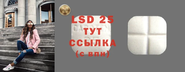 стаф Арсеньев
