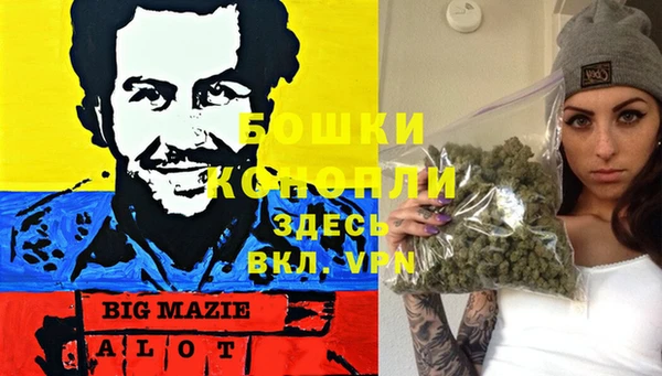 стафф Аркадак