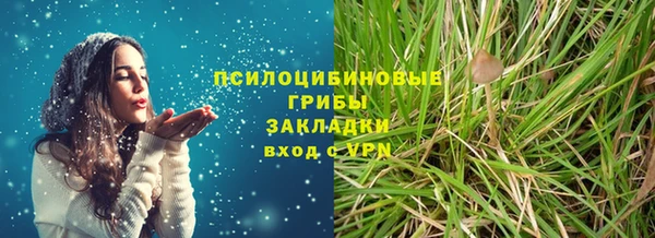 шишки Армянск