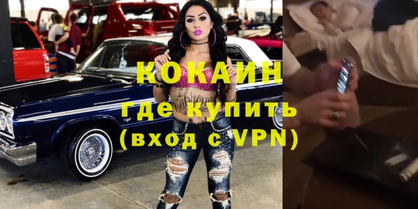 шишки Армянск