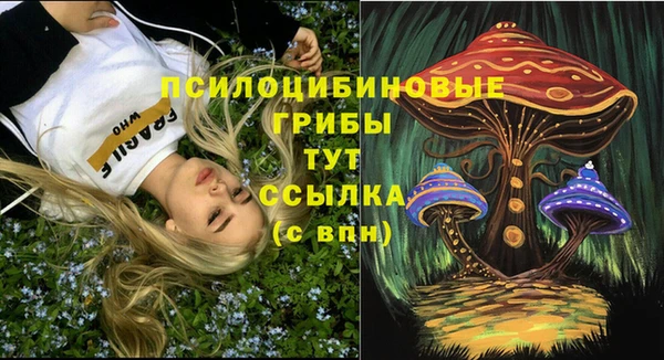 шишки Армянск